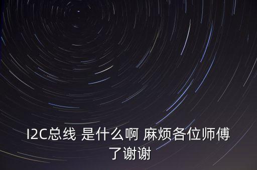 I2C總線 是什么啊 麻煩各位師傅 了謝謝