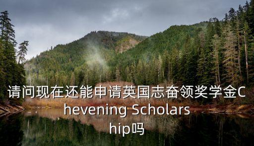 志奮領(lǐng)，英國志奮領(lǐng)獎學金申請難度大么