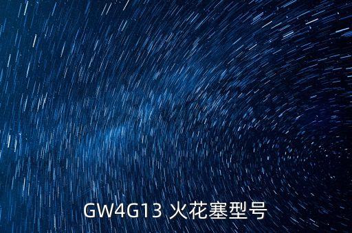 GW4G13 火花塞型號(hào)