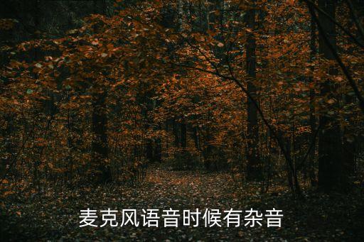 麥克風(fēng)有雜音，怎么我的麥克風(fēng)有雜音