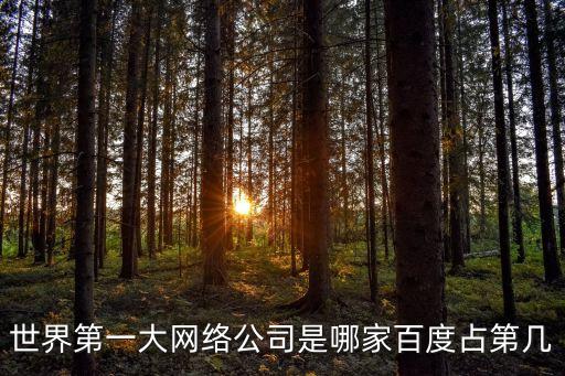 世界第一大網(wǎng)絡公司是哪家百度占第幾