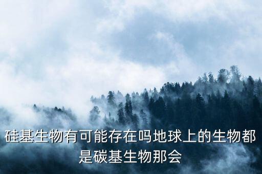 硅基生物有可能存在嗎地球上的生物都是碳基生物那會(huì)