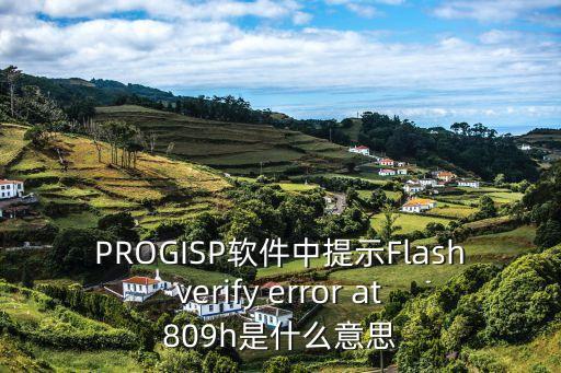 PROGISP軟件中提示Flash verify error at 809h是什么意思