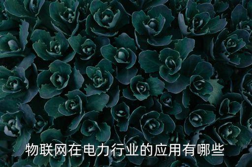 物聯(lián)網(wǎng)在電力行業(yè)的應(yīng)用有哪些