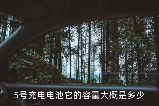 5號(hào)電池多少毫安，5號(hào)充電電池它的容量大概是多少