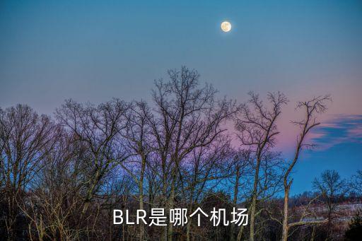 blr，BLR是銅芯線嗎