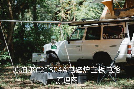 電磁爐的電路圖，蘇泊爾C21S04A電磁爐主板電路原理圖
