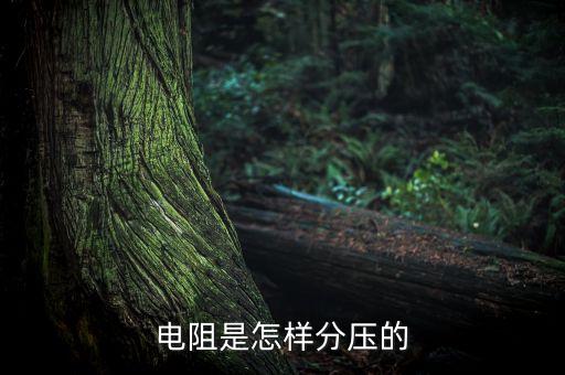 電阻是怎樣分壓的
