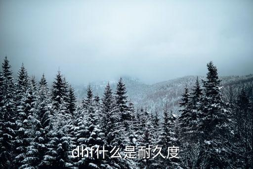 dhf什么是耐久度