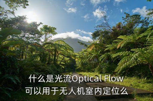 什么是光流Optical Flow可以用于無人機(jī)室內(nèi)定位么