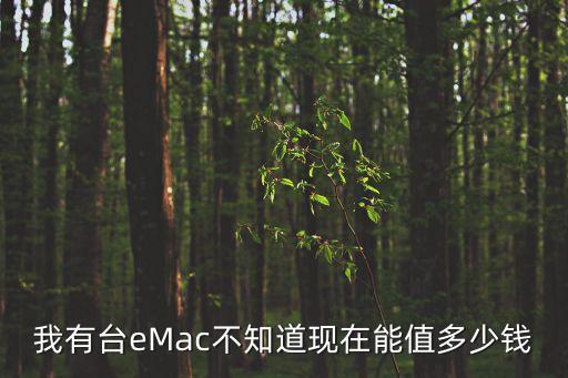 EMac，我有臺eMac不知道現(xiàn)在能值多少錢