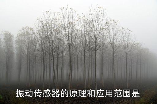 振動(dòng)傳感器的原理和應(yīng)用范圍是