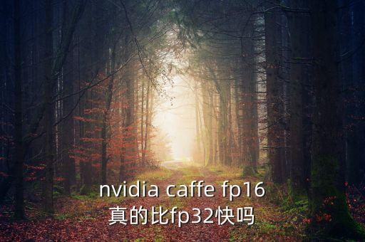 nvidia caffe fp16真的比fp32快嗎