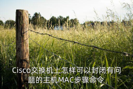 Cisco交換機(jī)上怎樣可以封閉有問題的主機(jī)MAC步驟命令