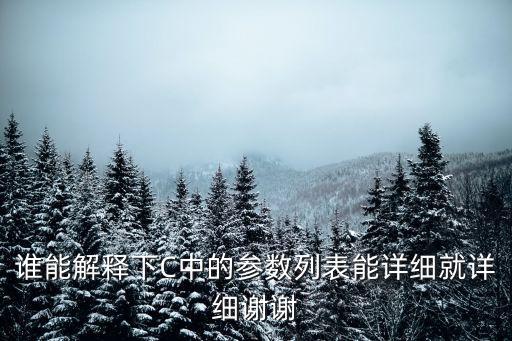 誰能解釋下C中的參數(shù)列表能詳細就詳細謝謝