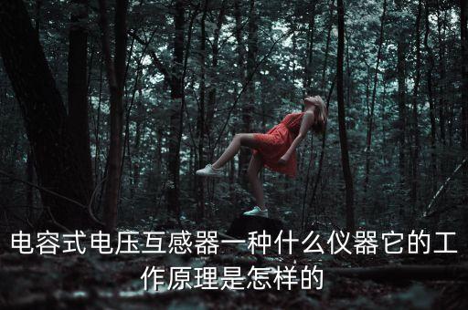電容式電壓互感器，電容式電壓互感器一種什么儀器它的工作原理是怎樣的