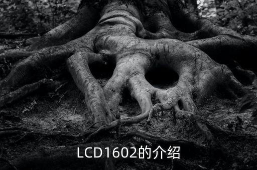 LCD1602的介紹