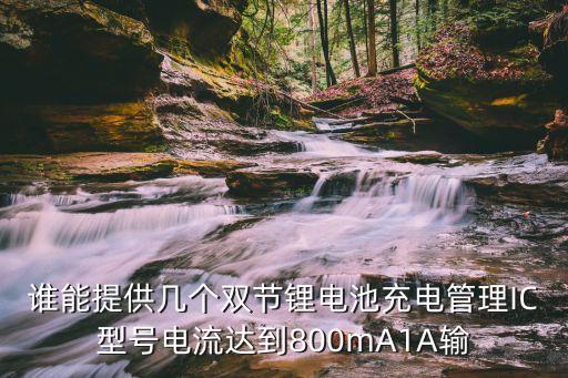 電池管理芯片，電池中iciccdc是什么意思