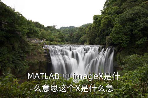 MATLAB 中 imageX是什么意思這個X是什么急