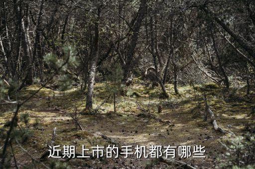 近期上市的手機都有哪些