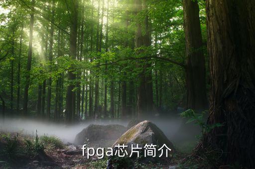 FPGA芯片，什么是fpga配置芯片