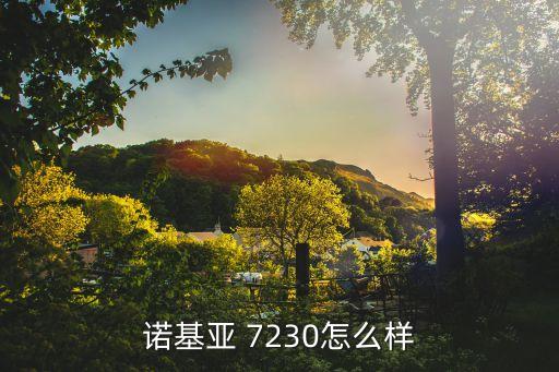 諾基亞 7230怎么樣