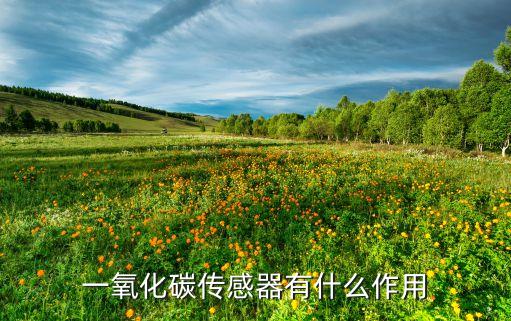 一氧化碳傳感器有什么作用