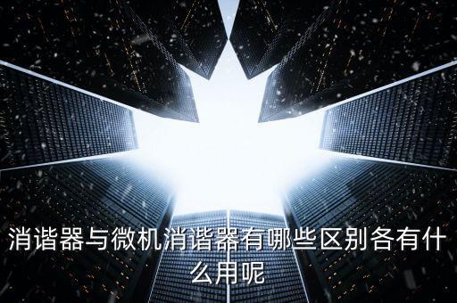 消諧器與微機消諧器有哪些區(qū)別各有什么用呢