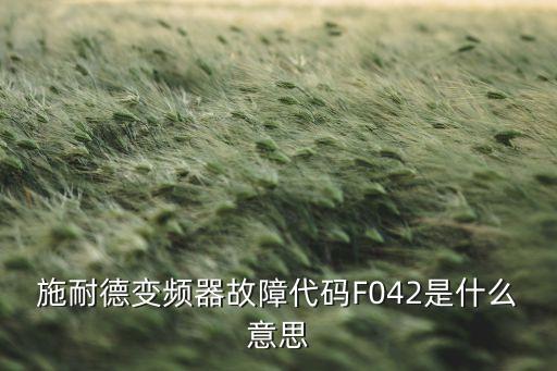 施耐德變頻器故障代碼F042是什么意思