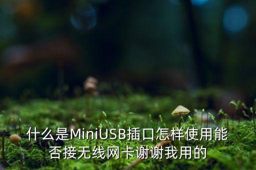 miniusb，什么是MiniUSB插口怎樣使用能否接無線網(wǎng)卡謝謝我用的