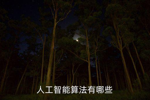 人工智能算法有哪些