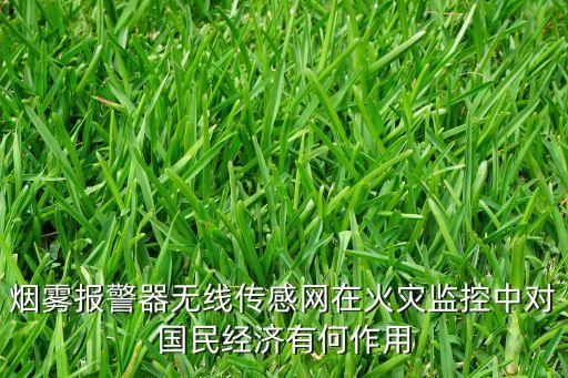 煙霧報(bào)警器無(wú)線(xiàn)傳感網(wǎng)在火災(zāi)監(jiān)控中對(duì)國(guó)民經(jīng)濟(jì)有何作用