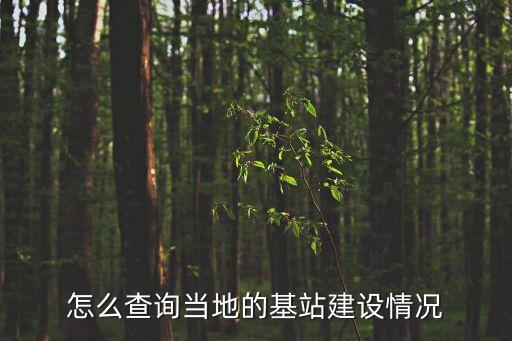 怎么查詢(xún)當(dāng)?shù)氐幕窘ㄔO(shè)情況