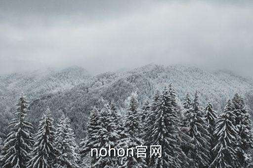 nohon官網(wǎng)