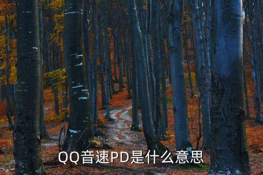 pd協(xié)議什么意思，PD所代表的意思