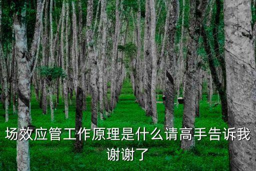 場效應(yīng)管工作原理是什么請高手告訴我謝謝了