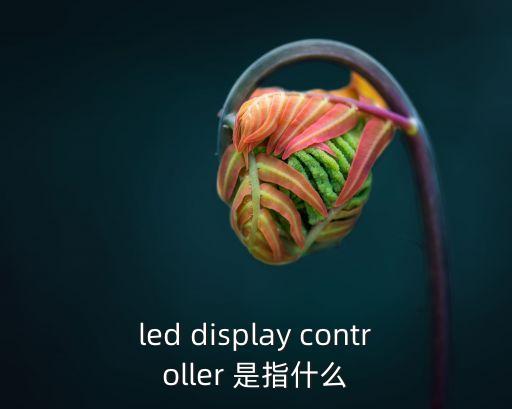 led display controller 是指什么