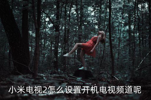 小米電視2怎么設(shè)置開機(jī)電視頻道呢