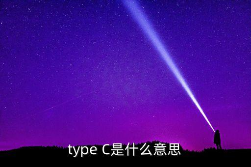 type C是什么意思