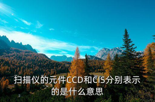 掃描儀的元件CCD和CIS分別表示的是什么意思