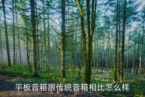 平板音響，平板音箱 怎么樣