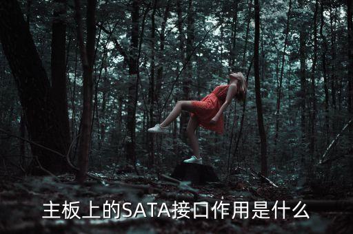 主板上的SATA接口作用是什么