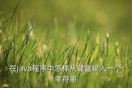 在java程序中怎樣從鍵盤輸入一個字符串