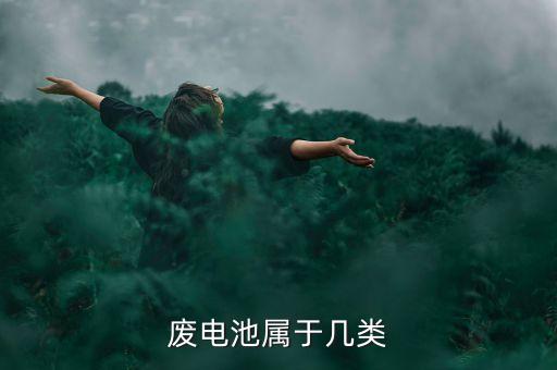 廢電池屬于幾類