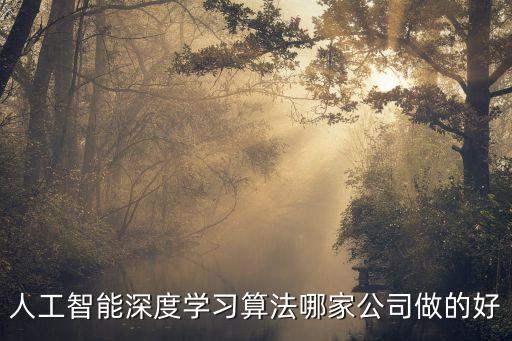 人工智能深度學(xué)習(xí)算法哪家公司做的好