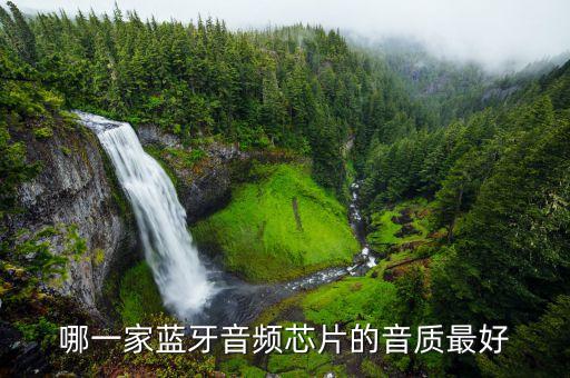 哪一家藍(lán)牙音頻芯片的音質(zhì)最好