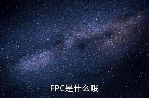 FPC是什么哦