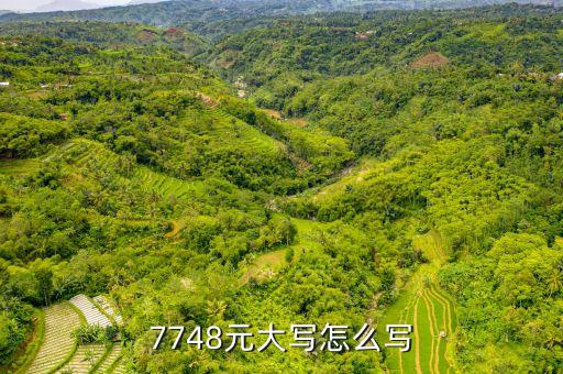 7748元大寫怎么寫