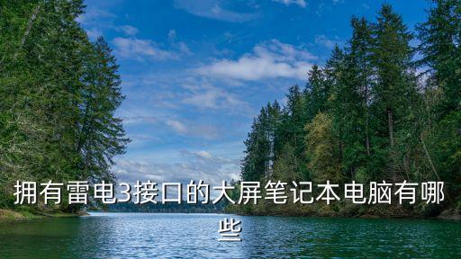 擁有雷電3接口的大屏筆記本電腦有哪些