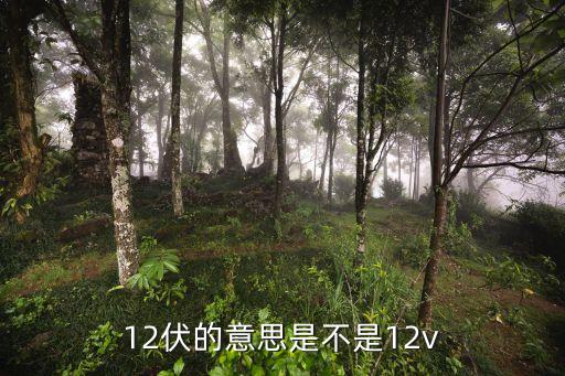 12v是什么意思，12v和220v有什么區(qū)別